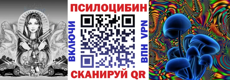 Псилоцибиновые грибы мицелий  Мосальск 